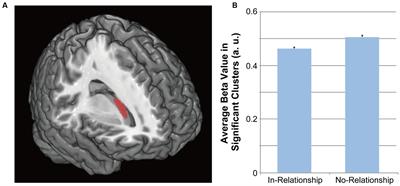 Being in a Romantic Relationship Is Associated with Reduced Gray Matter Density in Striatum and Increased Subjective Happiness